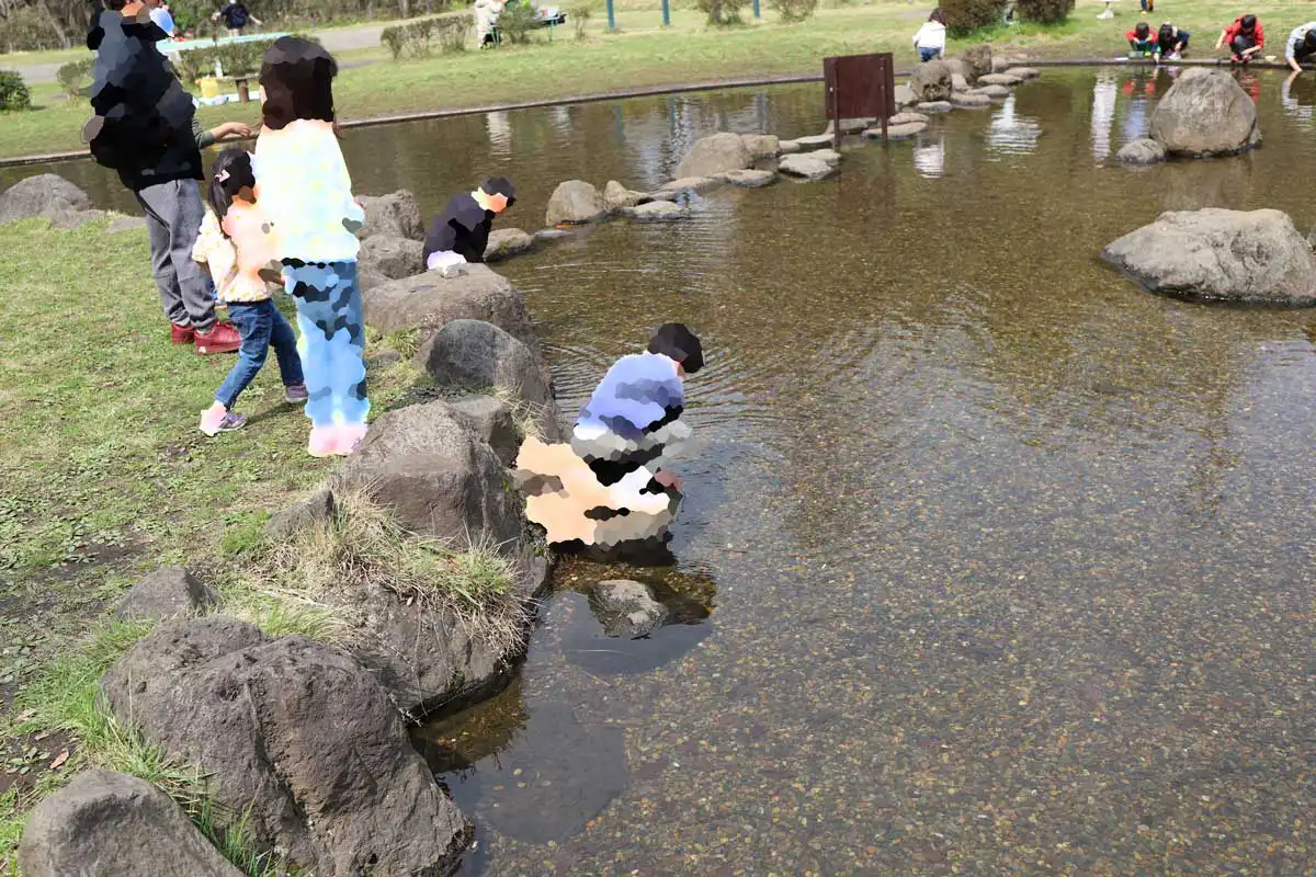 池での水遊び