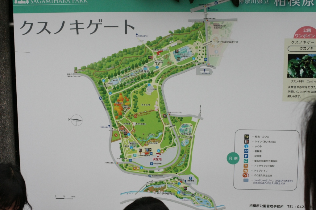 相模原公園のマップ