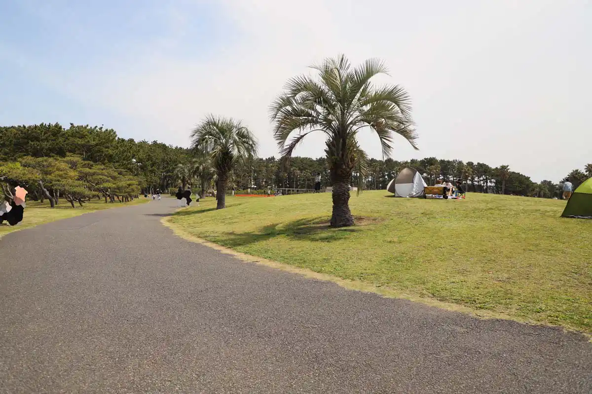 辻堂海浜公園の散歩道