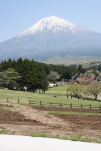 魔界の牧場からの富士山