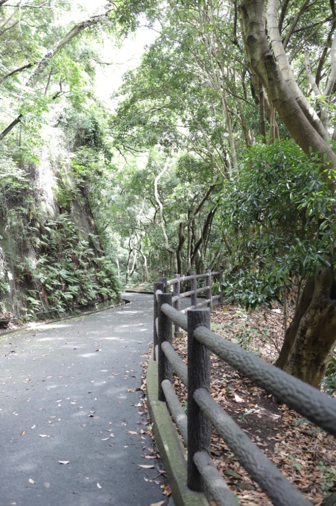 観音崎公園の散歩道