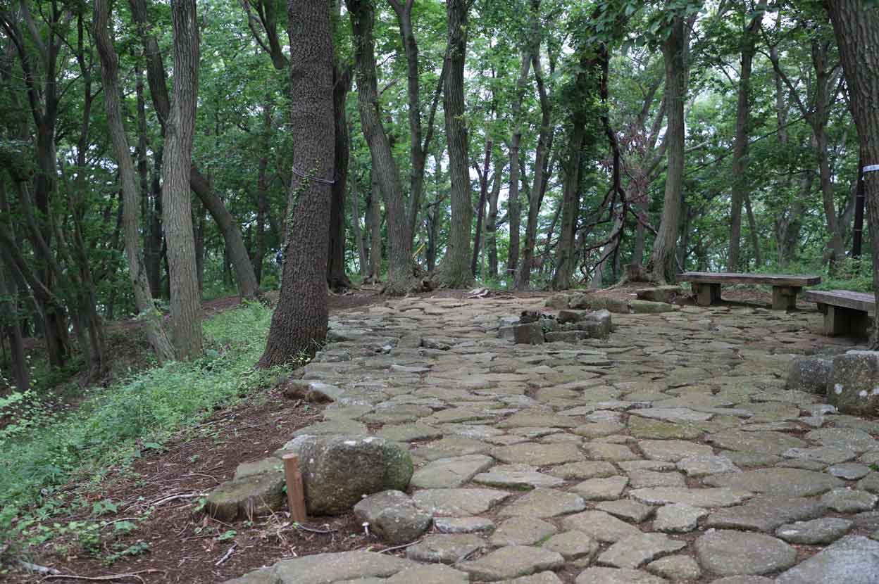七沢森林公園の遊歩道