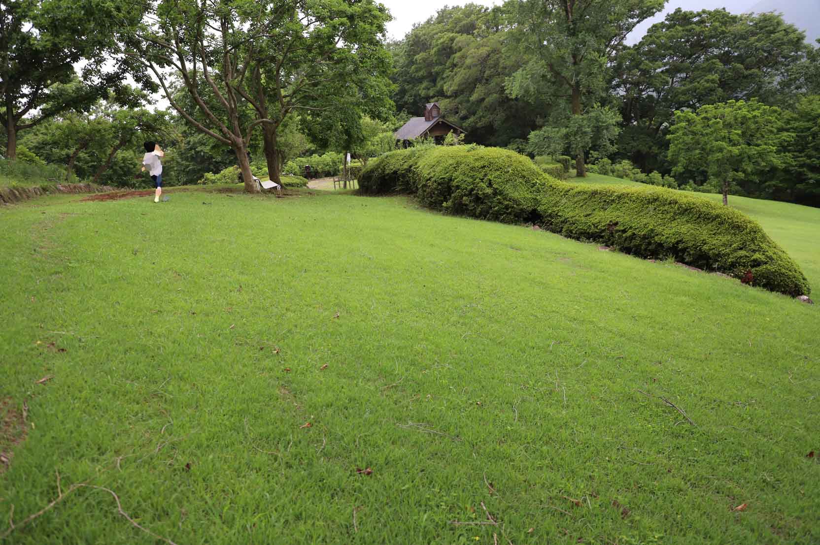 七沢森林公園の芝生広場
