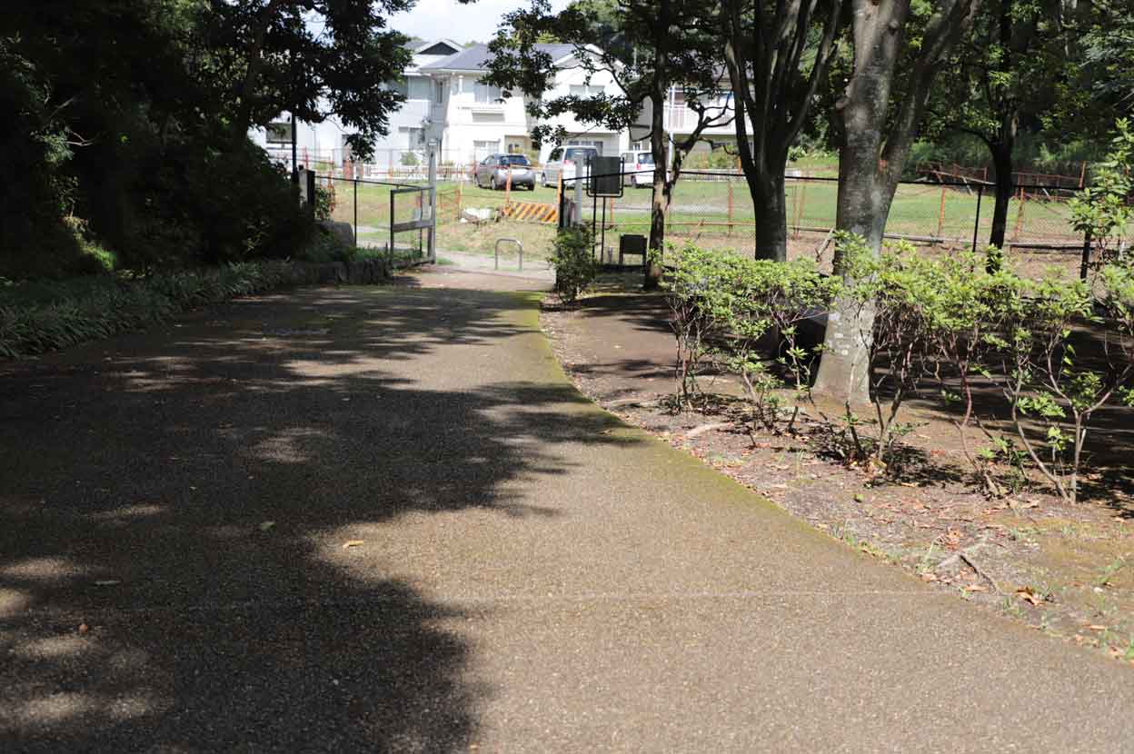 鎌倉中央公園の遊歩道