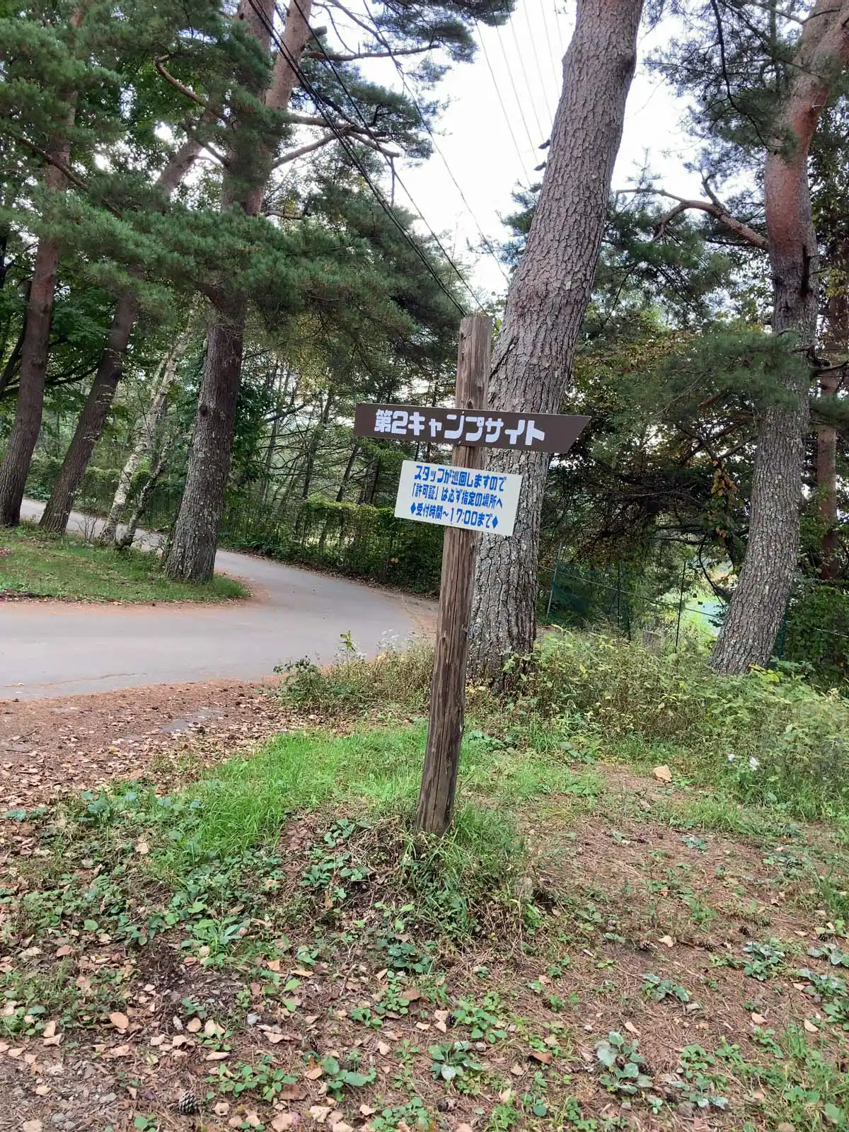 松原湖オートキャンプ場の第二キャンプサイト