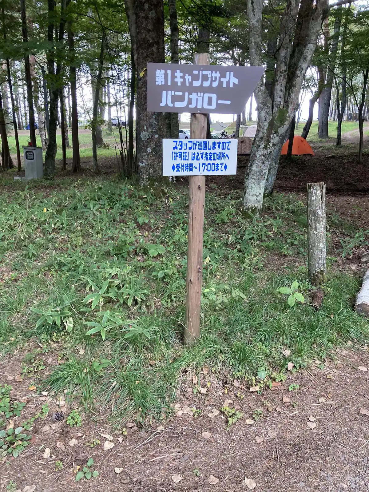 松原湖オートキャンプ場の第一キャンプサイト