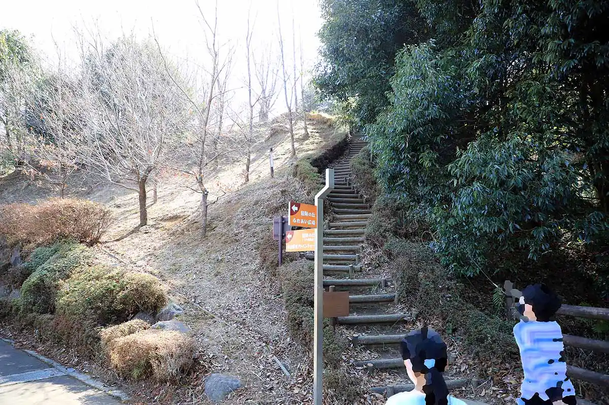小田原わんぱくらんどの遊歩道にある傾斜がきつい急な階段